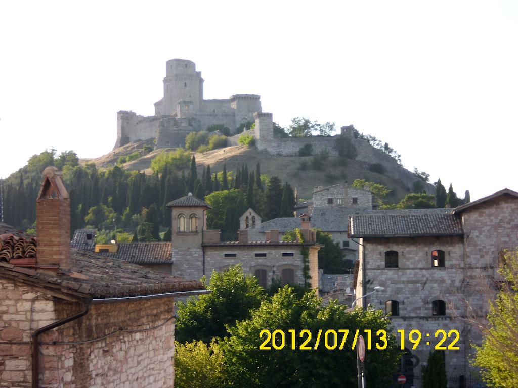 Bigio Assisi