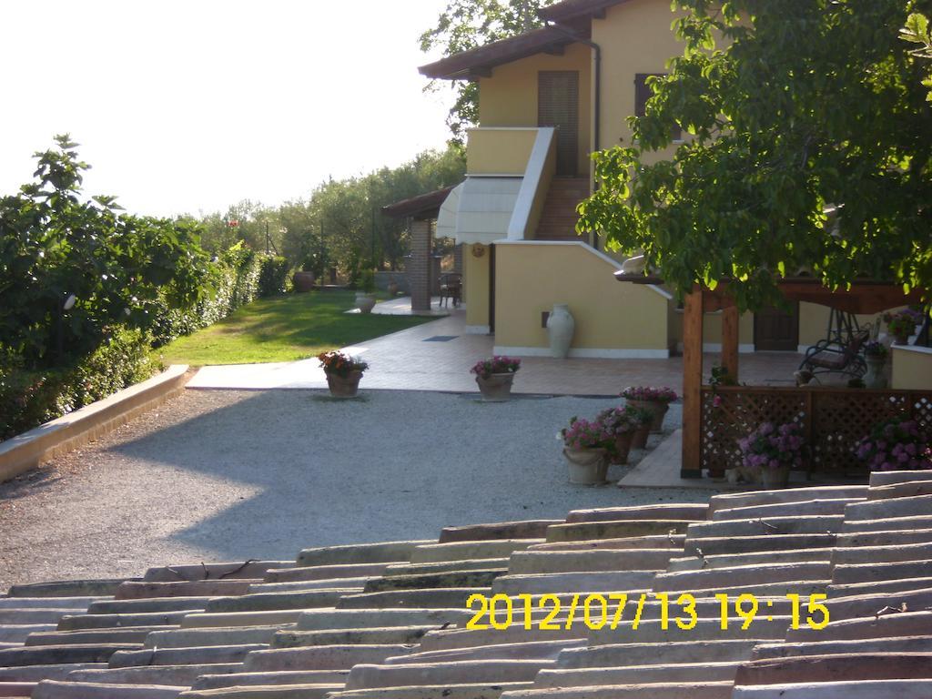 Bigio Assisi