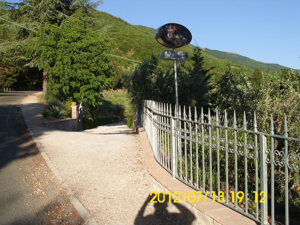 Bigio