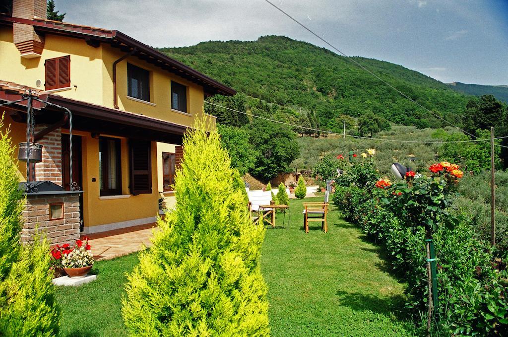 Bigio Assisi